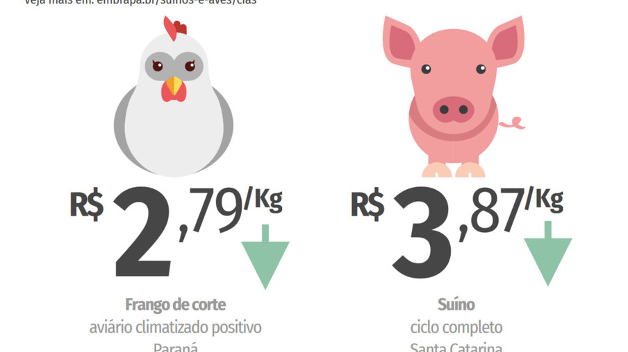 Custos de produção de suínos e de frangos de corte registram queda em julho
