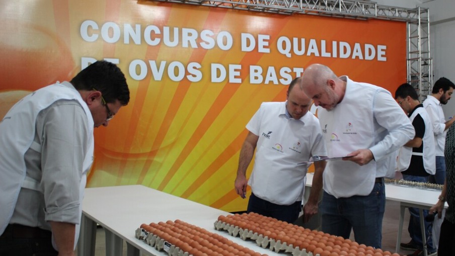Concurso de Qualidade de Ovos de Bastos 2018 amplia  a representatividade da Comissão Julgadora
