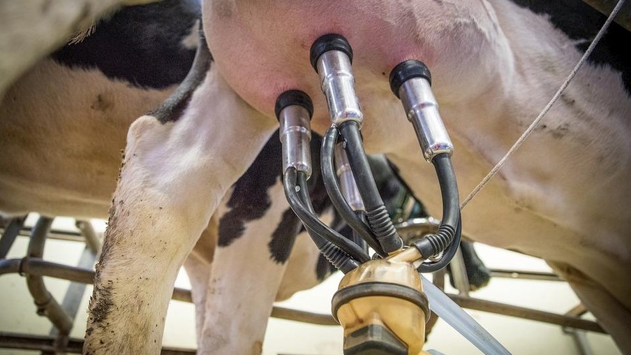AveSui EuroTier traz a tecnologia para uma nova era na indústria leiteira
