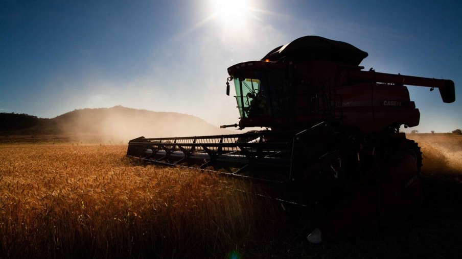 Solução para a escassez de grãos: SC e RS investem nas culturas de inverno