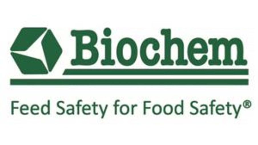 Biochem apresenta solução para biodisponibilidade de minerais em frangos de corte