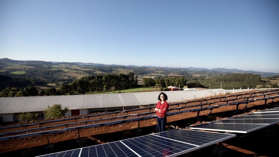 Instalação de painéis solares em granjas de produtores da BRF segue em ritmo acelerado