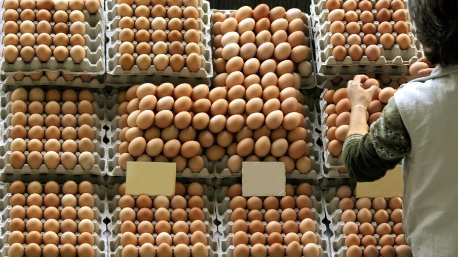 Mercado de ovos se mantém estável