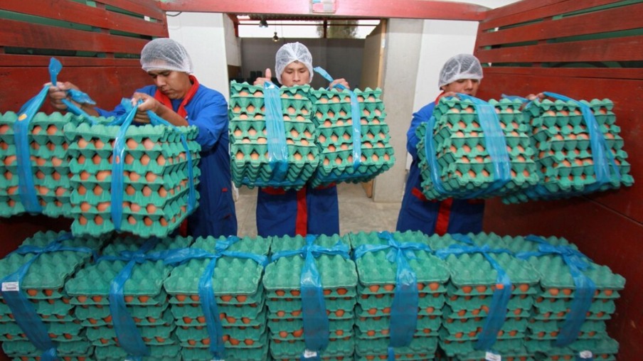 APA compartirá más de 26 mil huevos con poblaciones vulnerables del Perú