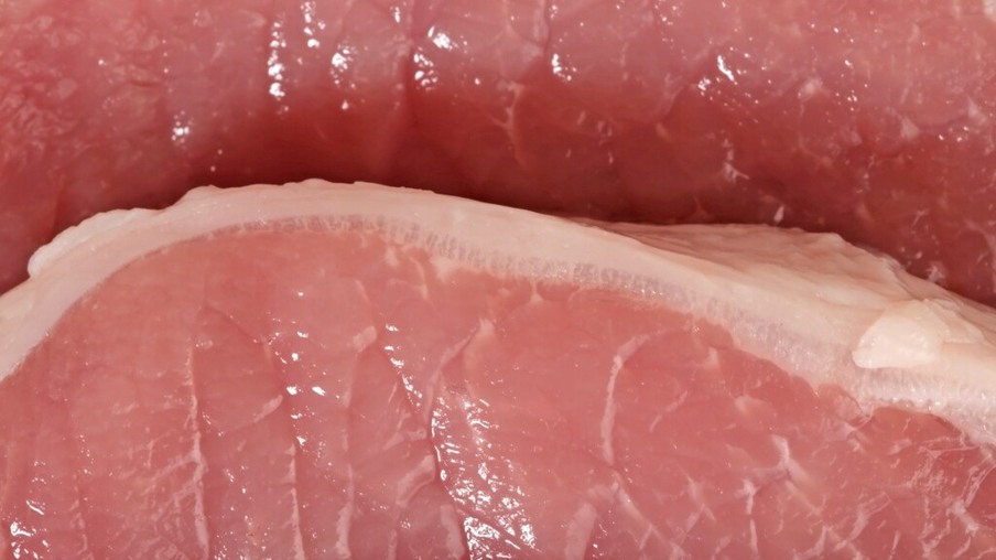 Exportações de carne suína agosto fecham em US$ 98,3 milhões