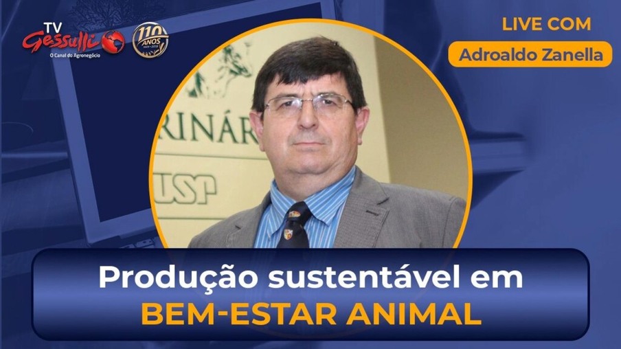 Produção sustentável e avanços em bem-estar animal | Live com Adroaldo Zanella