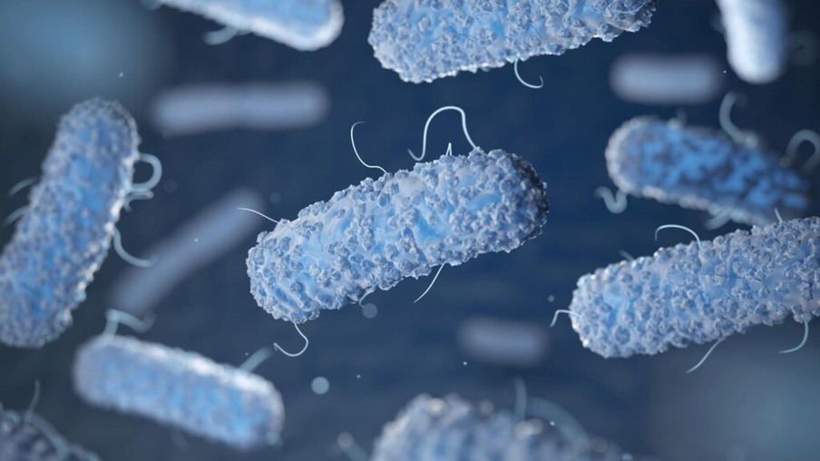 Bacteriófagos: estudo da ação lítica sobre Salmonella Minnesota isoladas de cama de frango