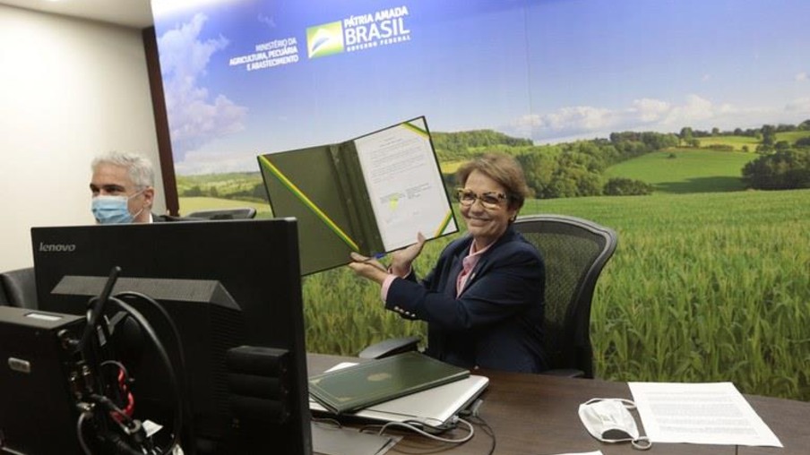Brasil e Reino Unido criam comitê conjunto para facilitar relação na agricultura