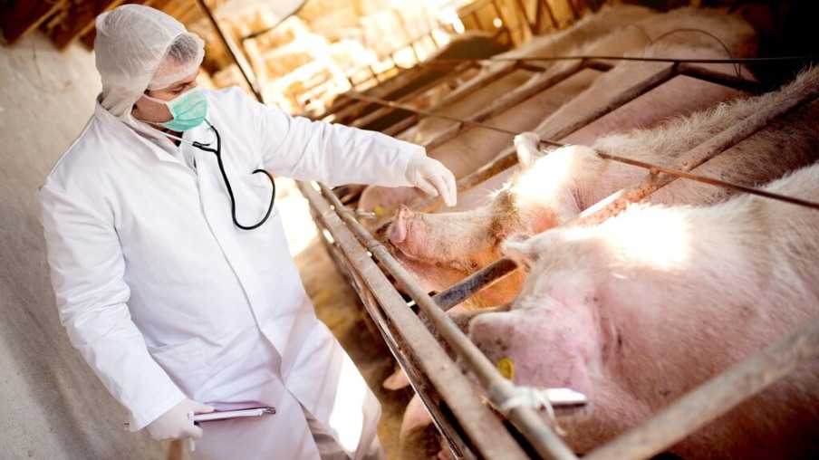 Pandemias de Influenza e o papel do suíno