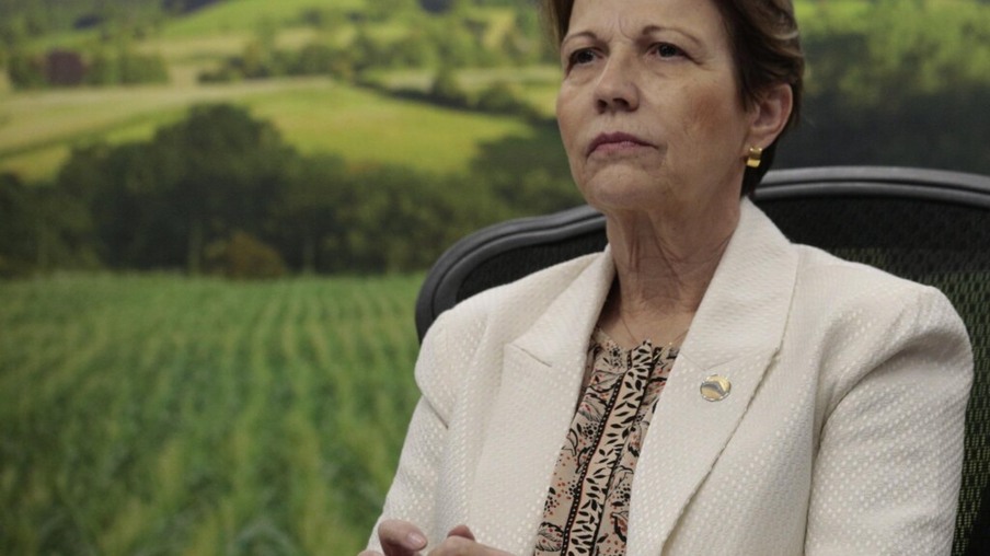 Governo usará COP26 para melhorar imagem da agropecuária brasileira