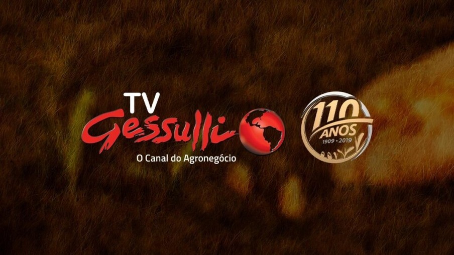 TV Gessulli no YouTube! Se inscreva e se mantenha atualizado no mercado