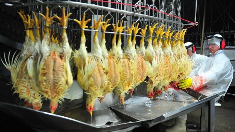 Exportações de frango halal a países muçulmanos crescem 14,5%