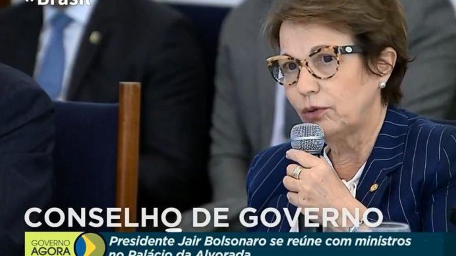 Brasil garante alimentos para consumo interno e exportações durante a pandemia, diz ministra