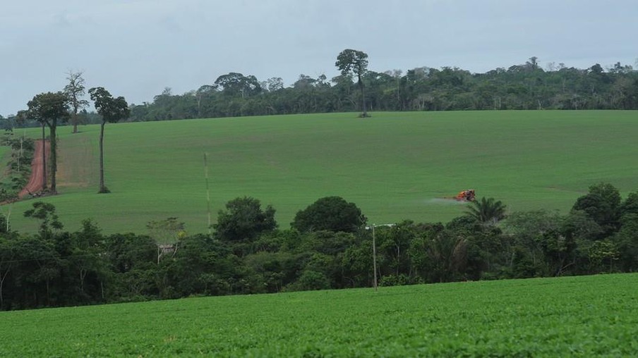 Ações na agropecuária podem reduzir emissões de gases em até 7%, diz FAO