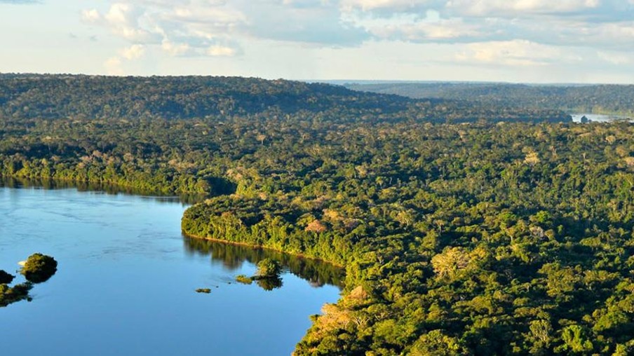 Carrefour Brasil torna-se primeira empresa a adotar Unidade de Conservação Ambiental da Amazônia