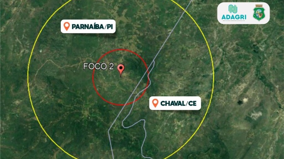 Adagri monitora propriedades com suínos nos municípios de Chaval e Granja