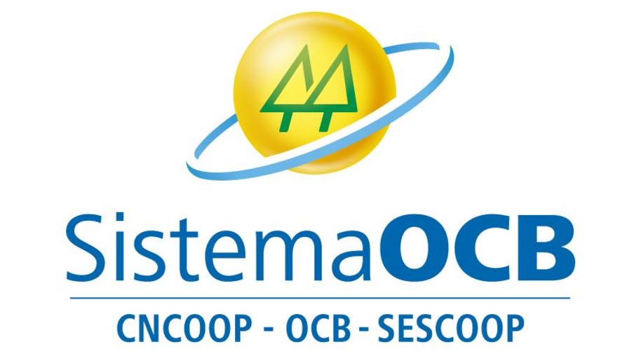 Sistema OCB defende cooperativismo em reunião do Conselho Nacional do Trabalho