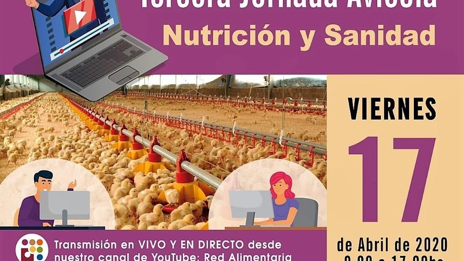 Com o tema Nutrição e Sanidade, Terceira Jornada Avícola será por videoconferência