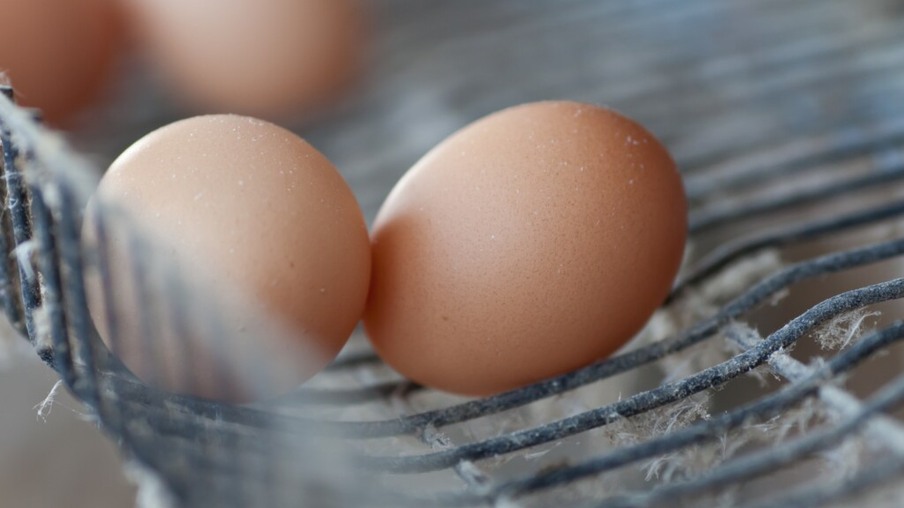 Clima frio controla oferta e sustenta as cotações de ovos