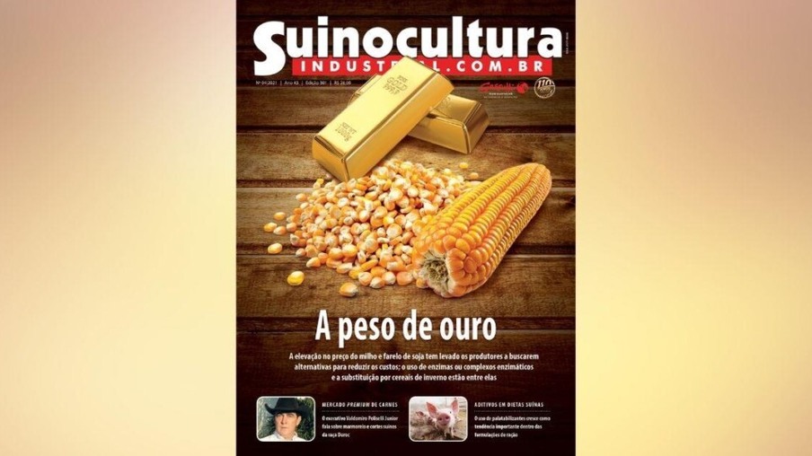 Alto custo das rações é tema da nova edição 301 da Revista Suinocultura Industrial