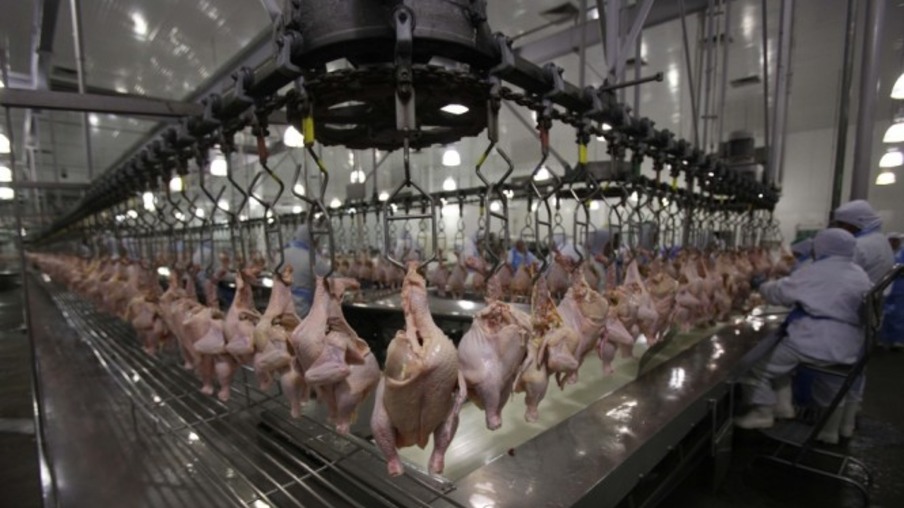 Exportações de carne de frango registram queda em volume mas receita segue positiva