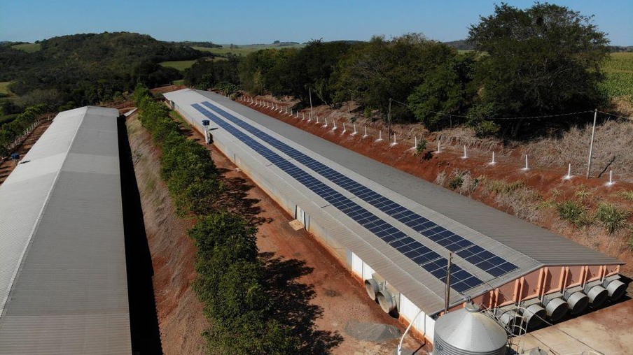 Em busca de economia e modernização, avicultores investem em energia solar