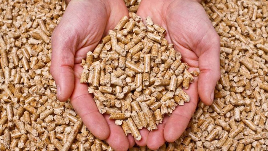 Usina de biocombustível comprará a matéria-prima dos plantadores para produzir pellets