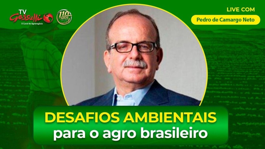 Por credibilidade ambiental, o Brasil precisa respeitar suas próprias leis primeiro