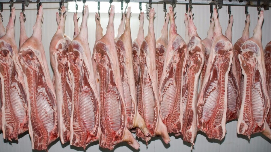 Mesmo com queda no volume de embarques, receita de carne suína cresce 9,5%