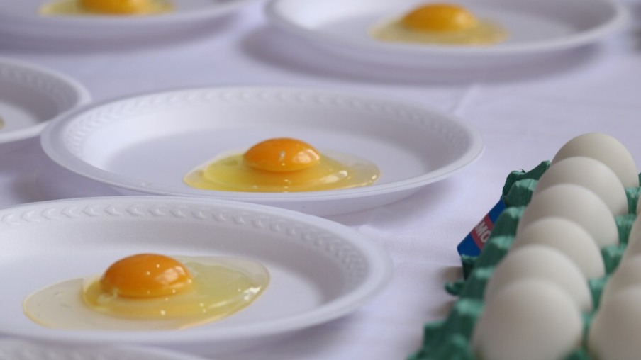 Avicultura capixaba promove concursos de qualidade do ovo
