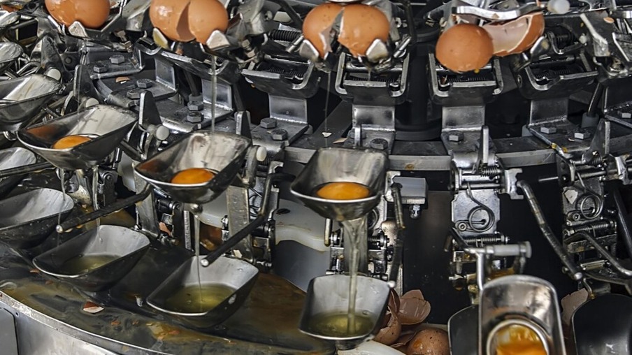 Ovos brasileiros ganham destaque no mercado internacional