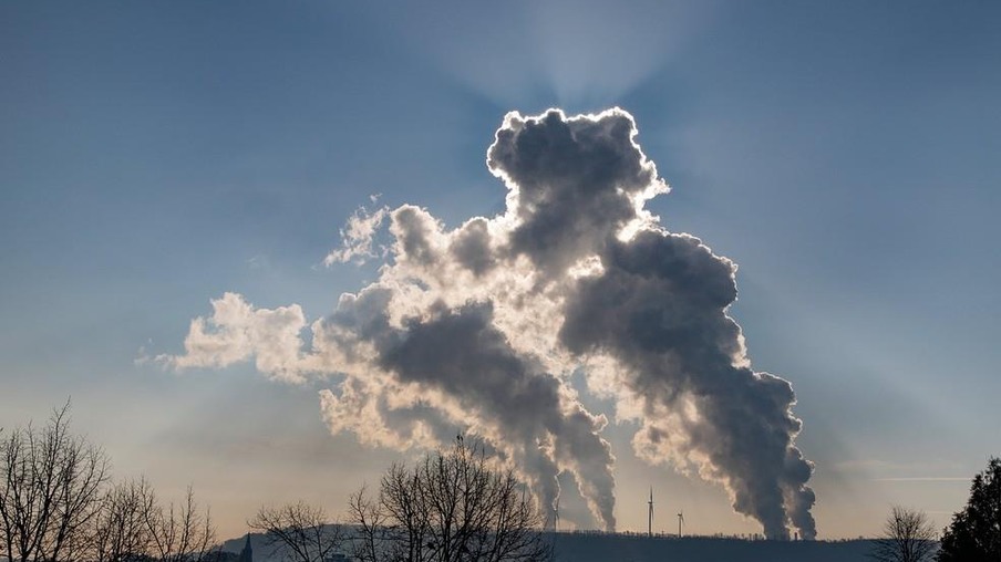 Cientistas da China dizem transformar emissões em ração animal