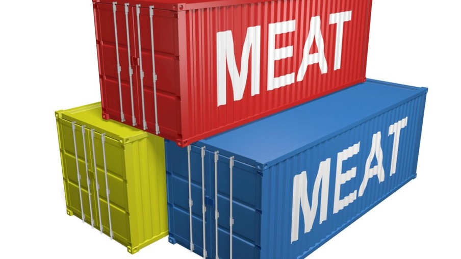Em 10 dias, exportações de carne suína já são metade de janeiro de 2020