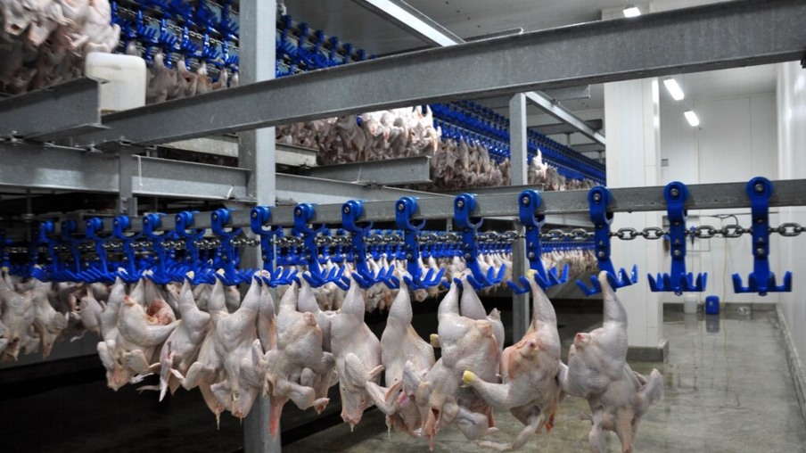 EUA aplicam multa de US$ 1 milhão após morte de 6 funcionários em produtora de frango