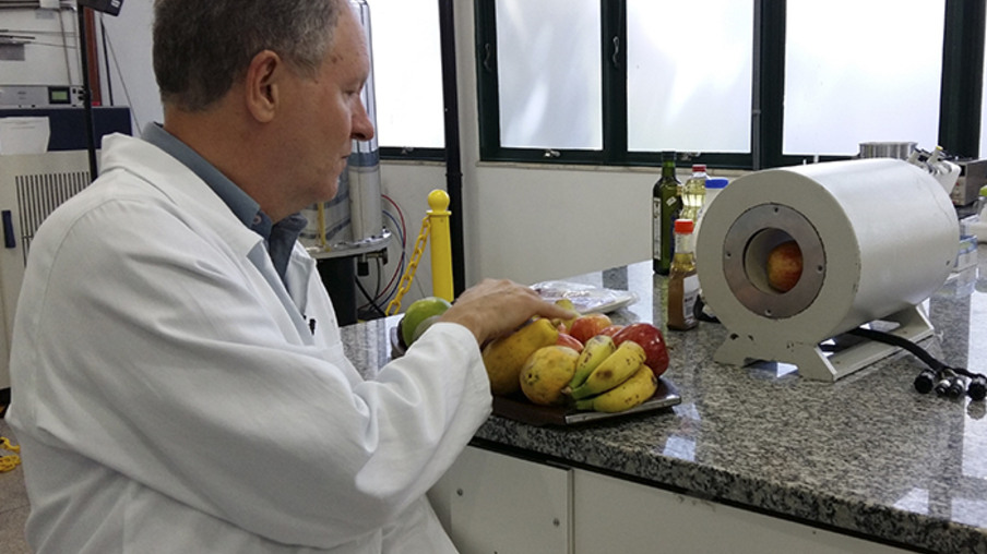 Ressonância magnética investiga padrão de qualidade de carnes, frutas e industrializados