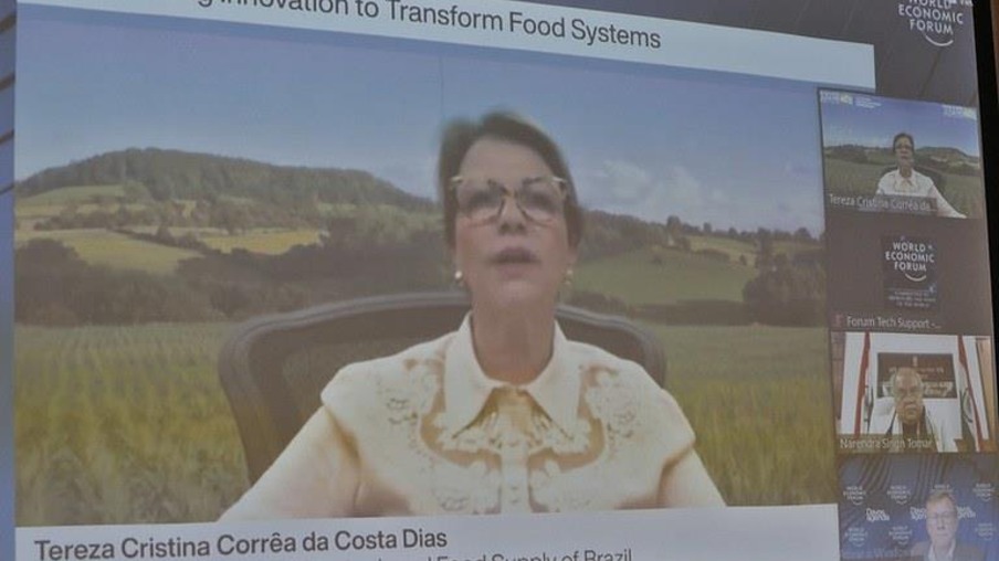 Inovação é única ferramenta capaz de aliar segurança alimentar e sustentabilidade, diz ministra