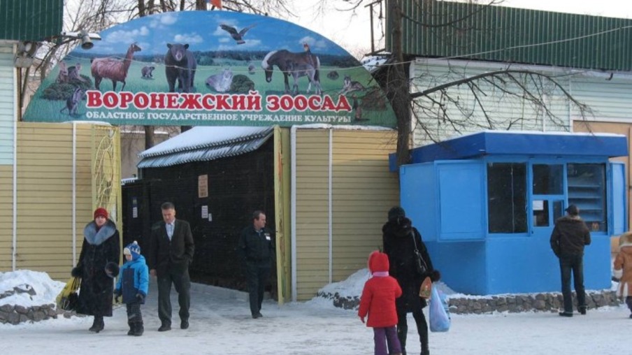 Zoológico russo sacrifica todas as aves por causa da gripe aviária