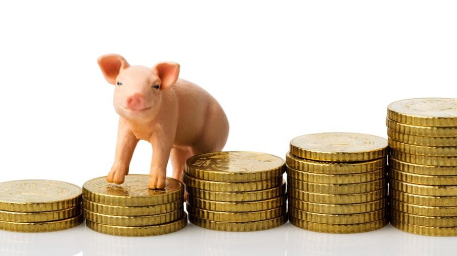 Preços do suíno vivos sobem em quase todas as regiões, aponta Cepea
