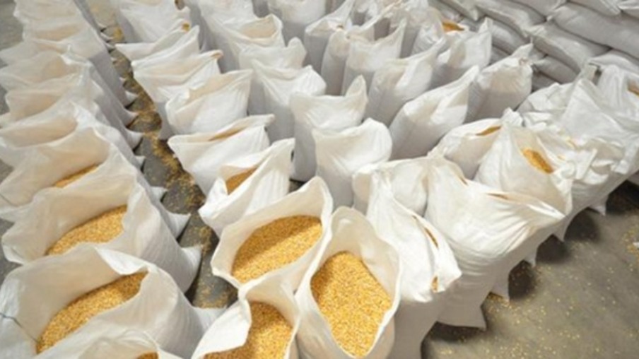 Com garantia da oferta tendência é queda nos preços do milho, diz Mapa