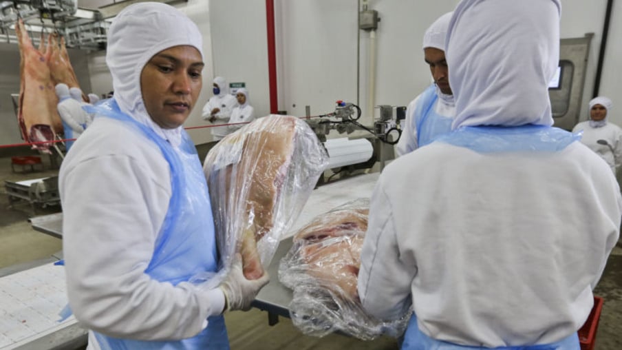 Embarques de carne suína in natura mantêm elevação de 55,5% neste ano