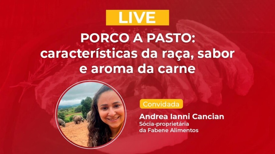 HOJE: Andrea Ianni Cancian, criadora da Fabene Alimentos, fala sobre o mercado premium de carne suína na TV Gessulli
