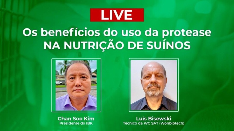 HOJE: Canal TV Gessulli discute aspectos nutricionais em dietas para suínos