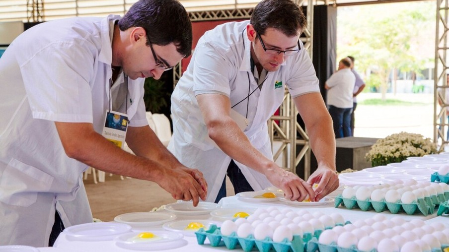 Coopeavi realiza terceira edição do Concurso de Qualidade de Ovos