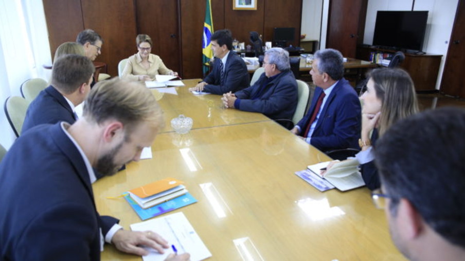 ABCS leva prioridades do setor suinícola para ministra Tereza Cristina