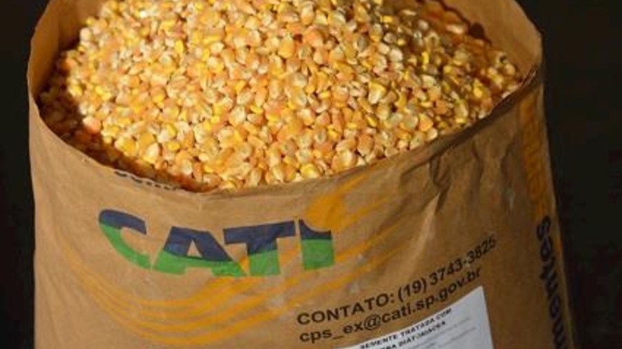 Cati antecipa venda de grãos a produtores afetados pela greve