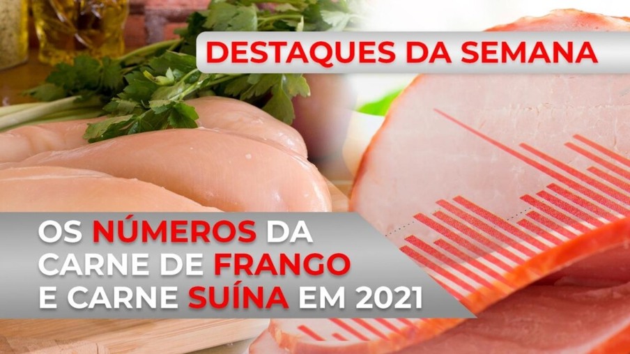 DESTAQUES - Os números da carne de frango e da carne suína em 2021