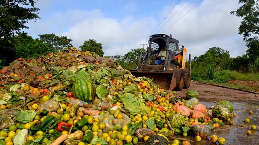 Comissão de Agricultura trabalha lei para reduzir desperdício de alimentos