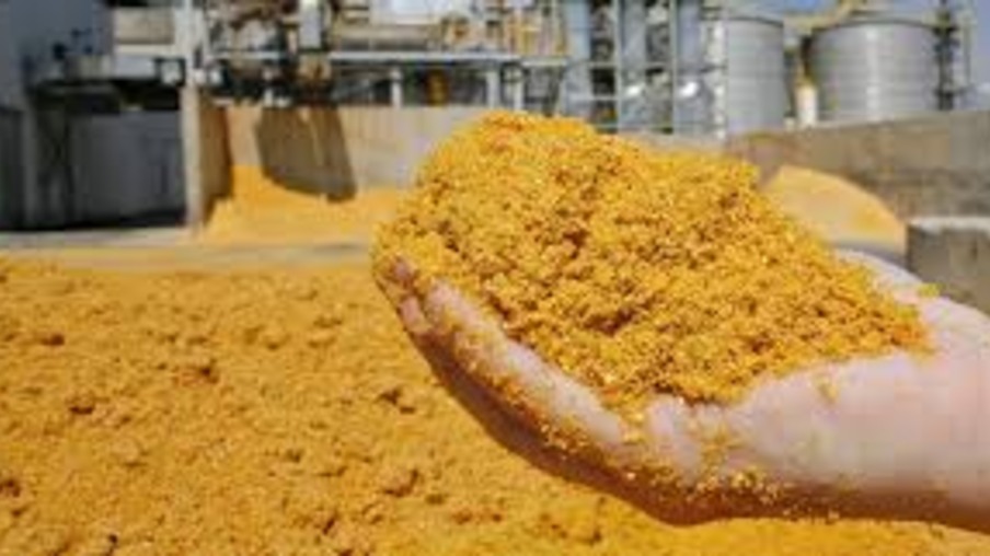 Produção de etanol de milho se firma no país; DDG também cresce