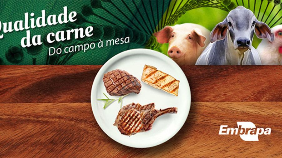 Página sobre contribuições da ciência para qualidade da carne brasileira é lançada