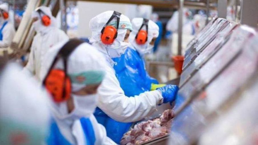 JBS aumenta em 81% as vendas de frangos e suínos para a China